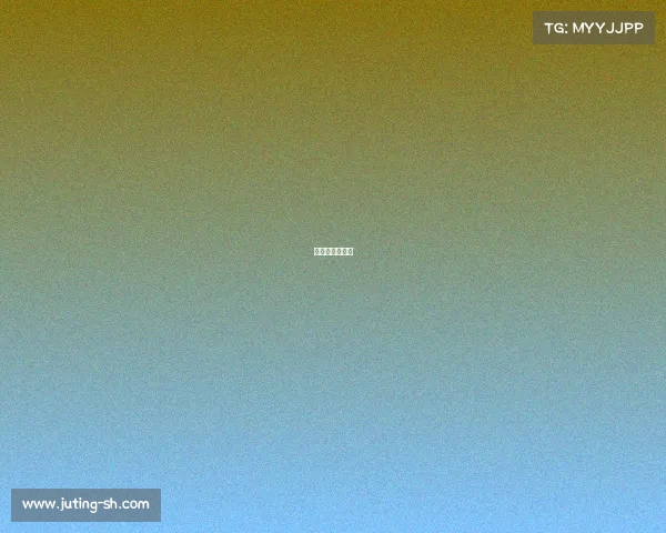 国际武术锦标赛